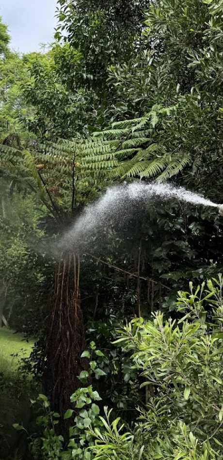 Clean by Design Happy Customers